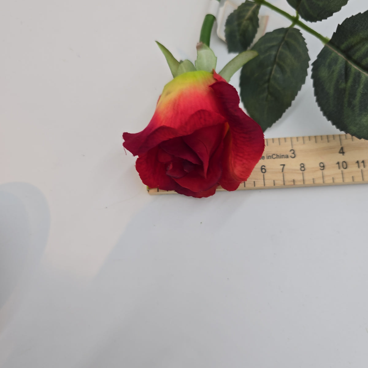 Rose Bud --#fsr011-to/re