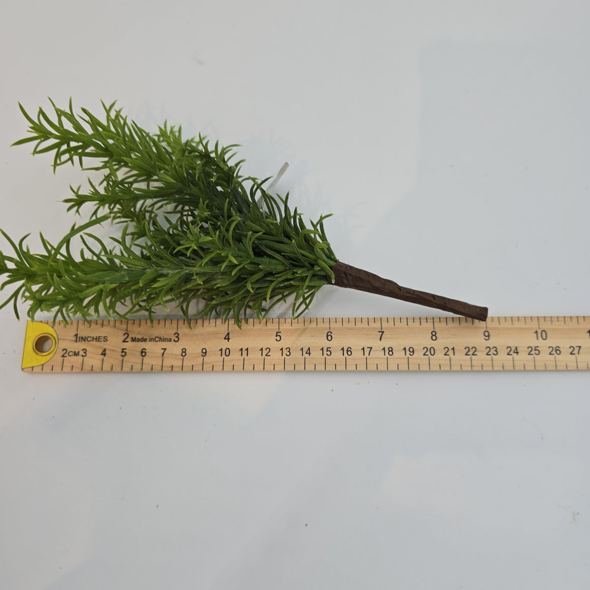 11&quot;ROSEMARY--#pbr414