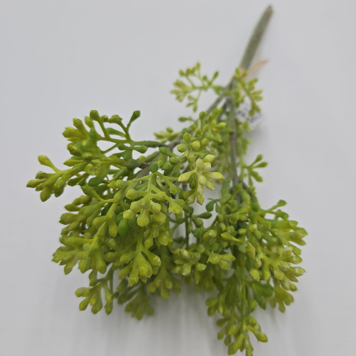 14&quot; sedum bundle--#fbs120