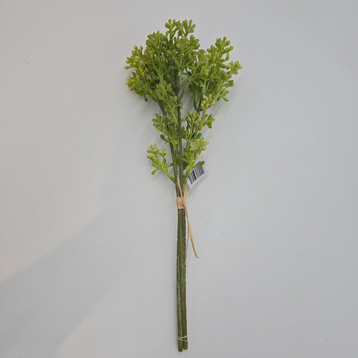 14&quot; sedum bundle--#fbs120