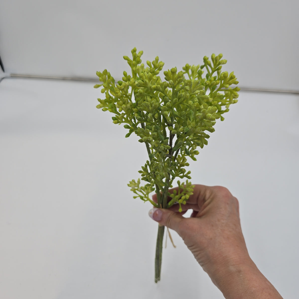 14&quot; sedum bundle--#fbs120