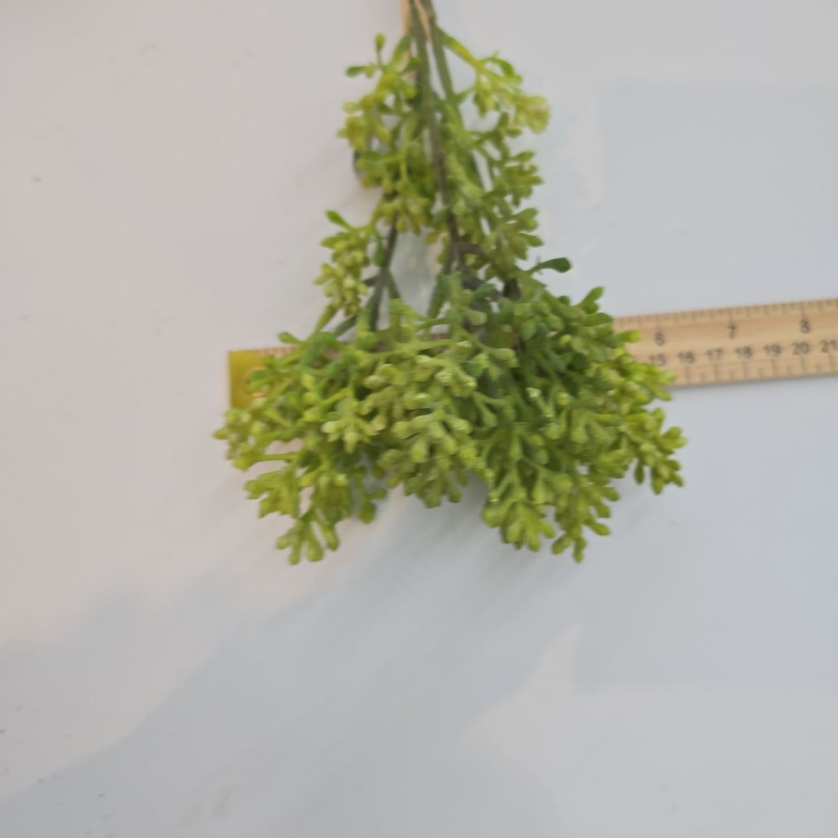 14&quot; sedum bundle--#fbs120