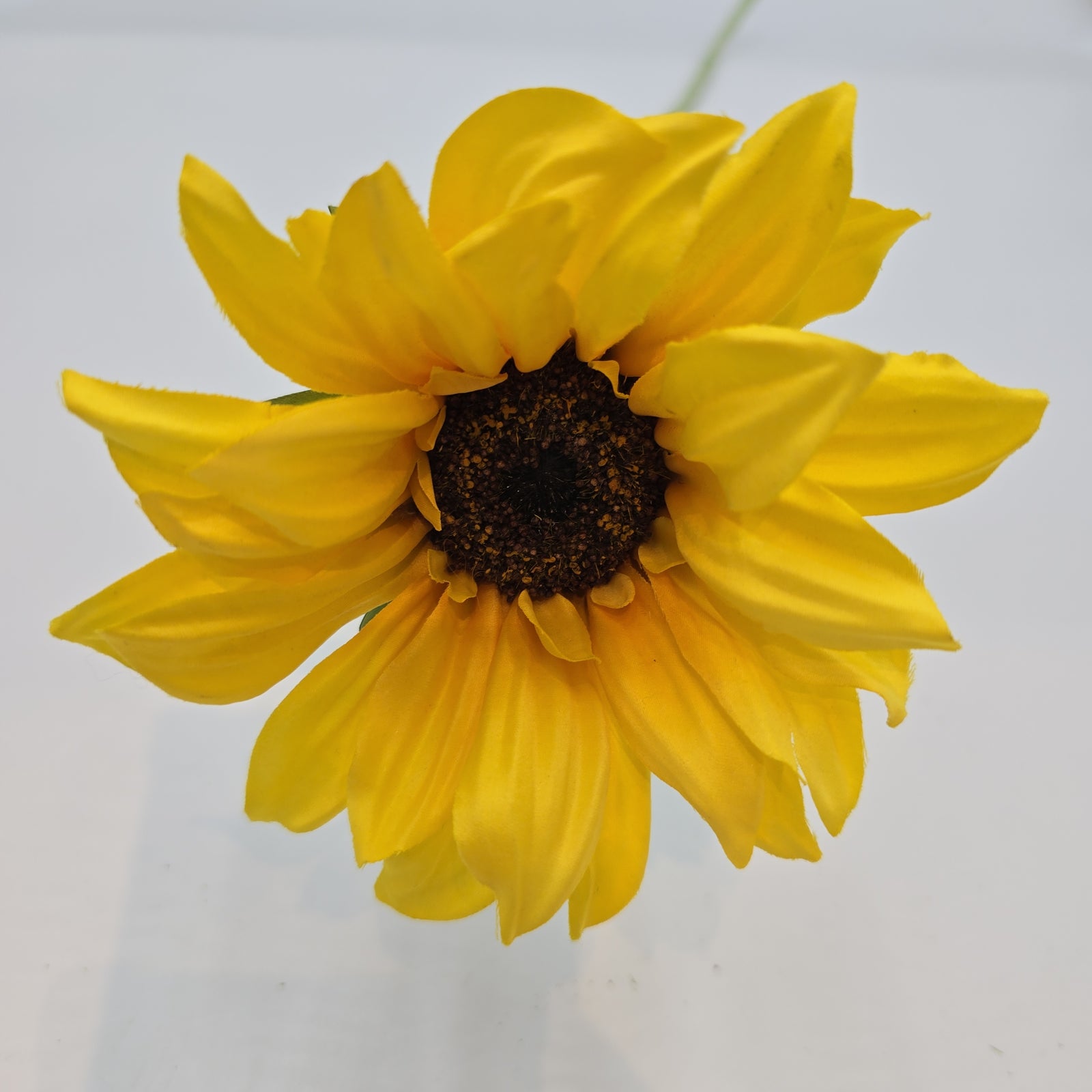 Sunflower Spray--#fss480-ye