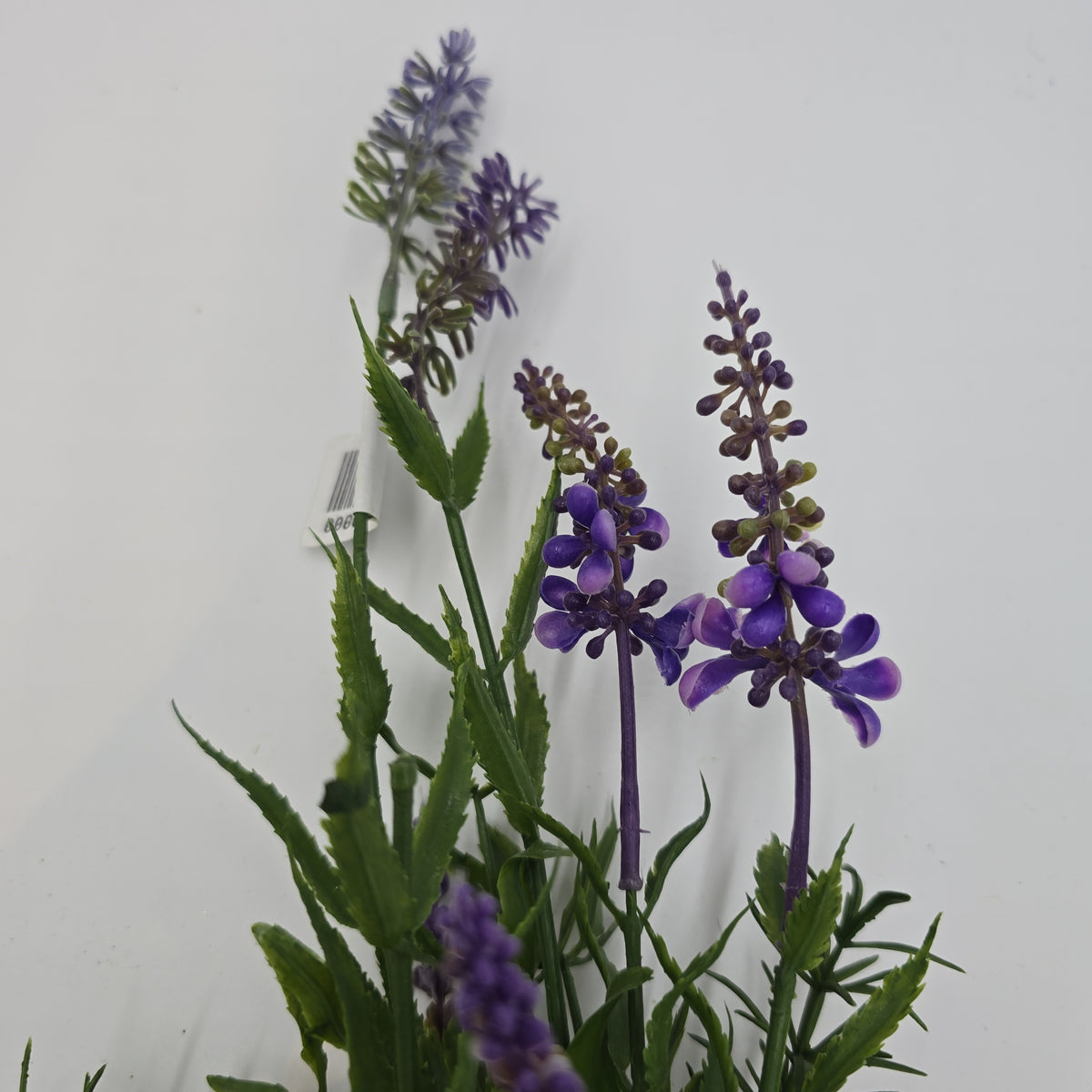 15&quot; Lavender Bush--#pbl101