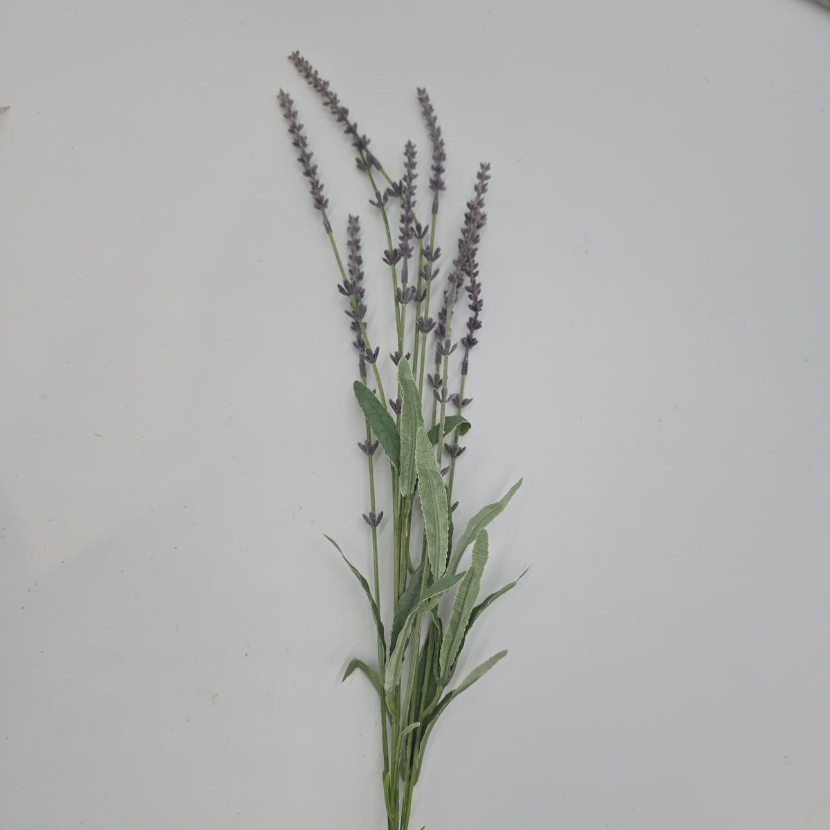 Lavender Spray--#fsl135-lv