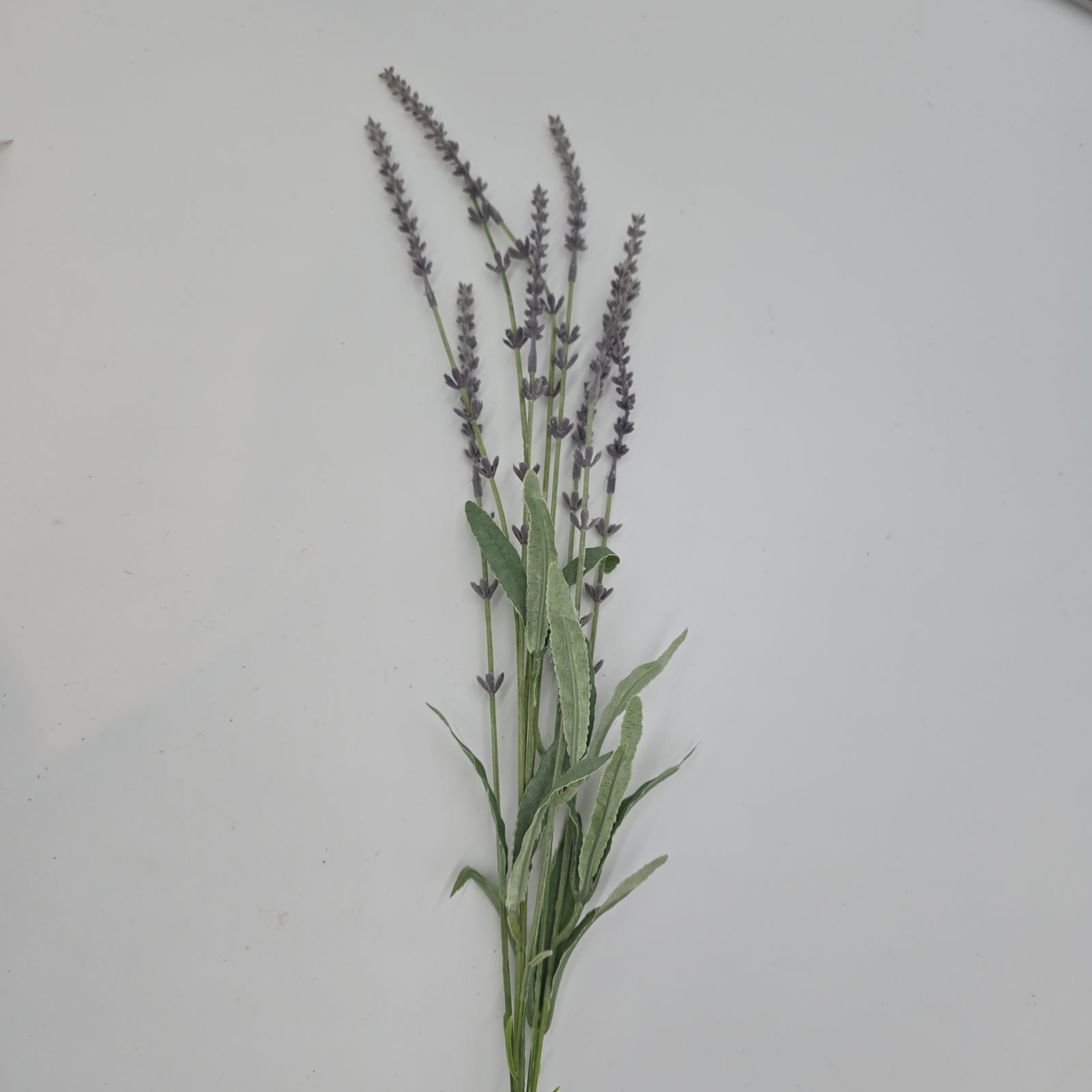 Lavender Spray--#fsl135-lv