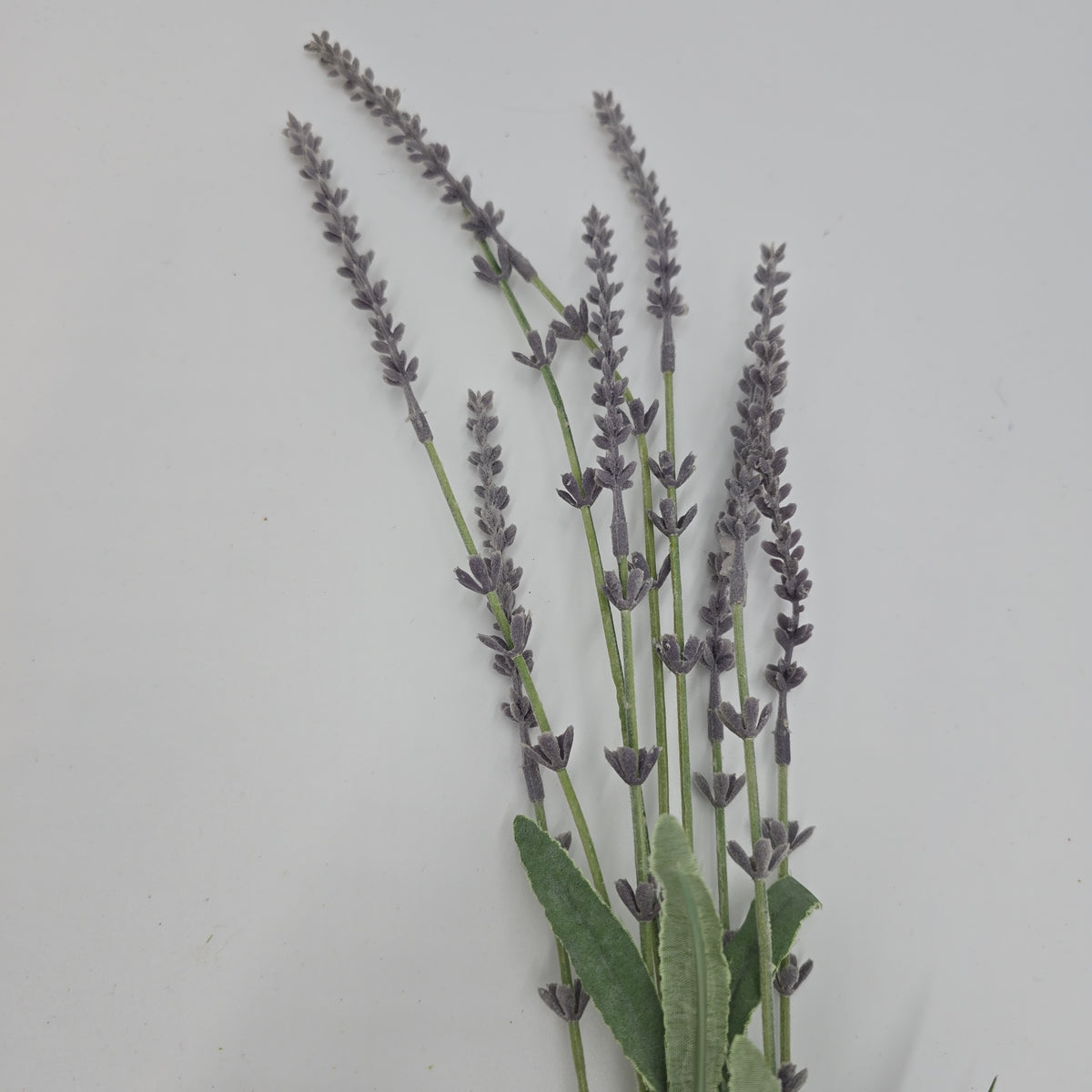 Lavender Spray--#fsl135-lv