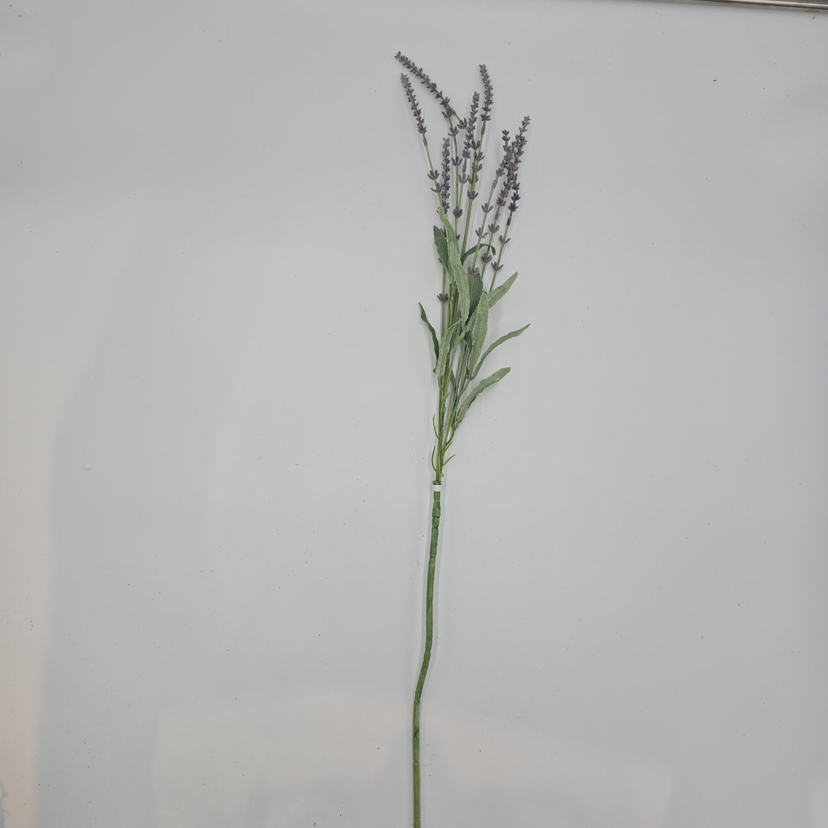 Lavender Spray--#fsl135-lv