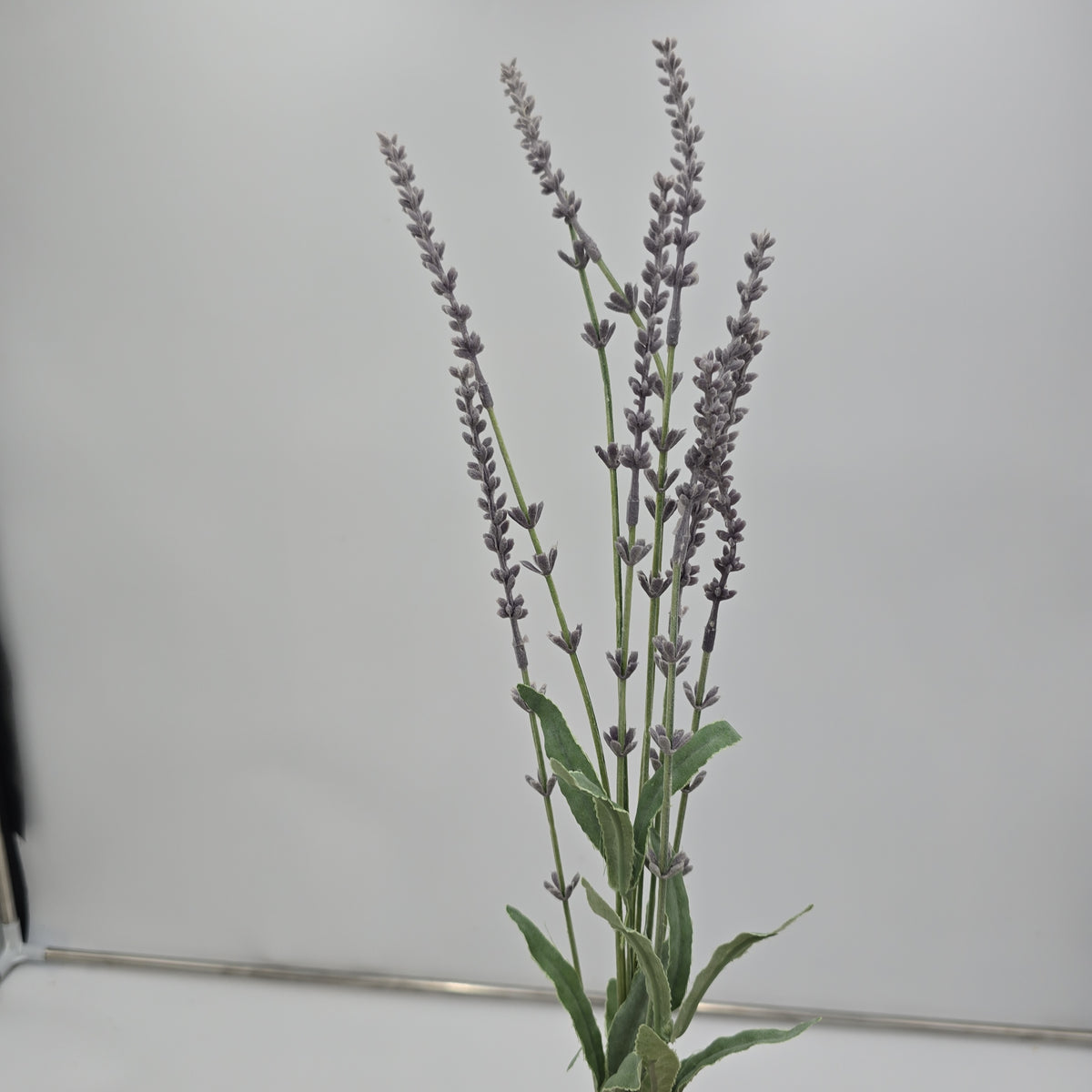 Lavender Spray--#fsl135-lv