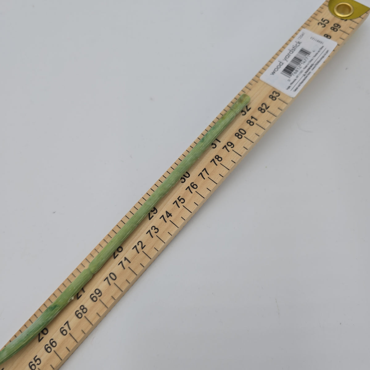 Lavender Spray--#fsl135-lv