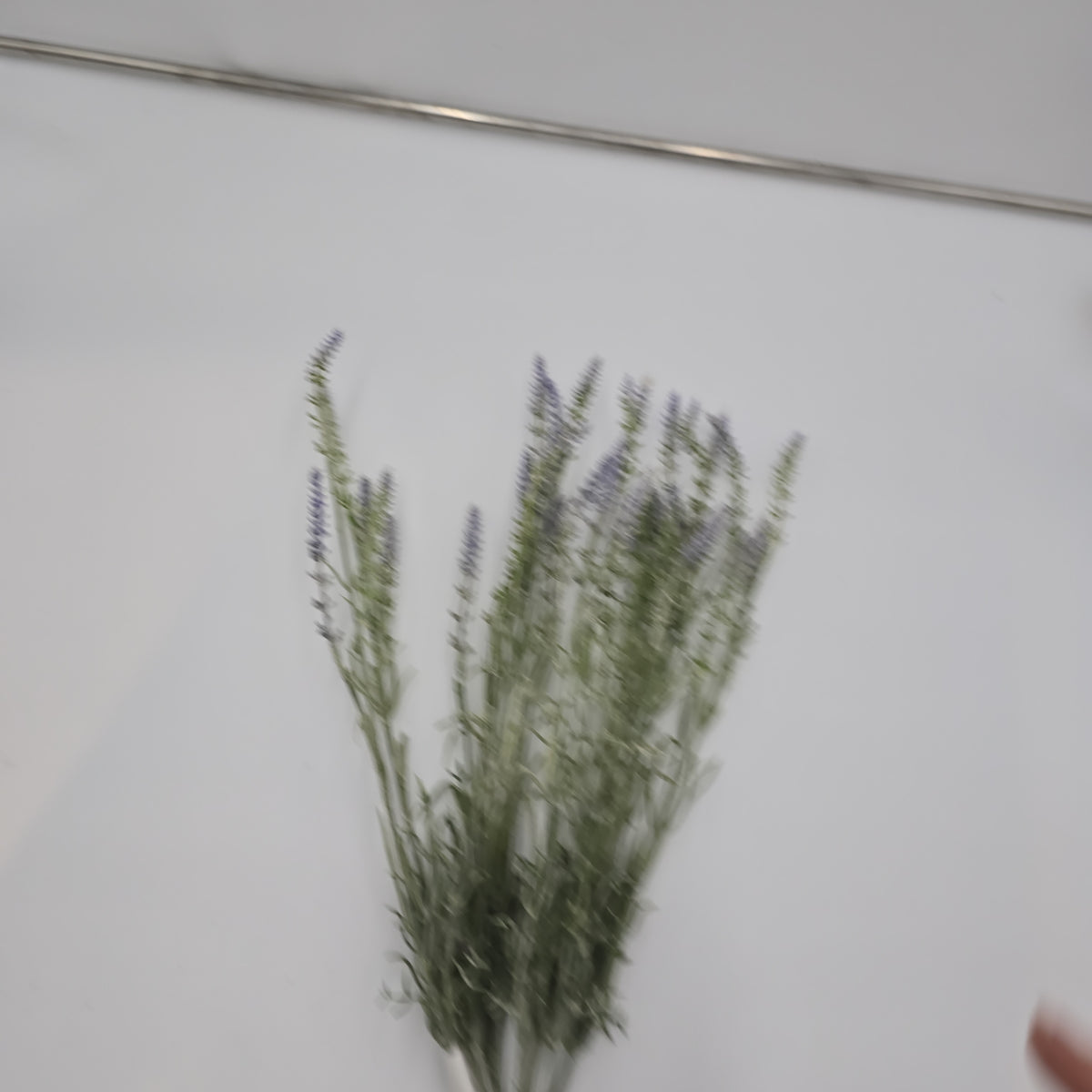 23&quot; Lavender Bush--#fbl135