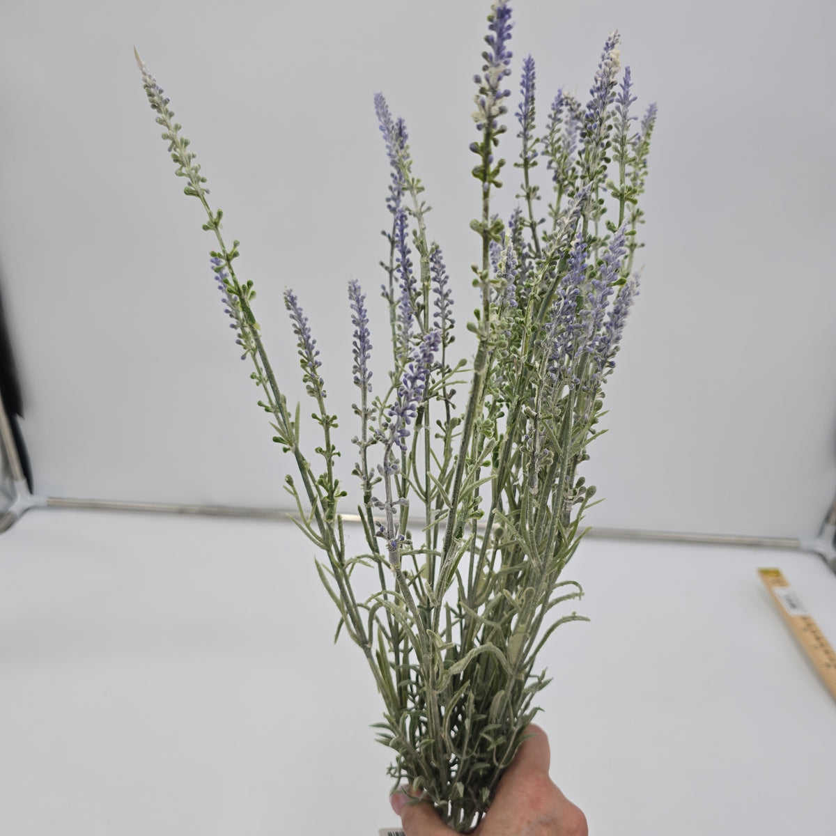 23&quot; Lavender Bush--#fbl135