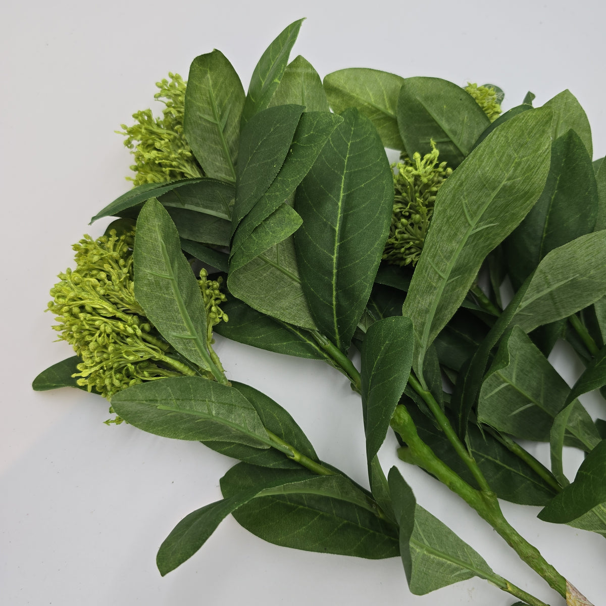 26&quot;SKIMMIA--pss128-gr/lt