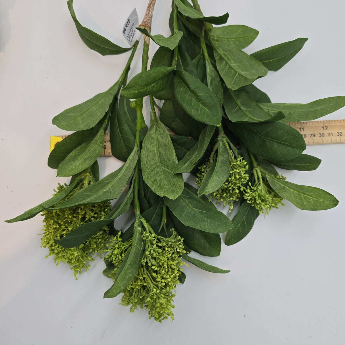 26&quot;SKIMMIA--pss128-gr/lt