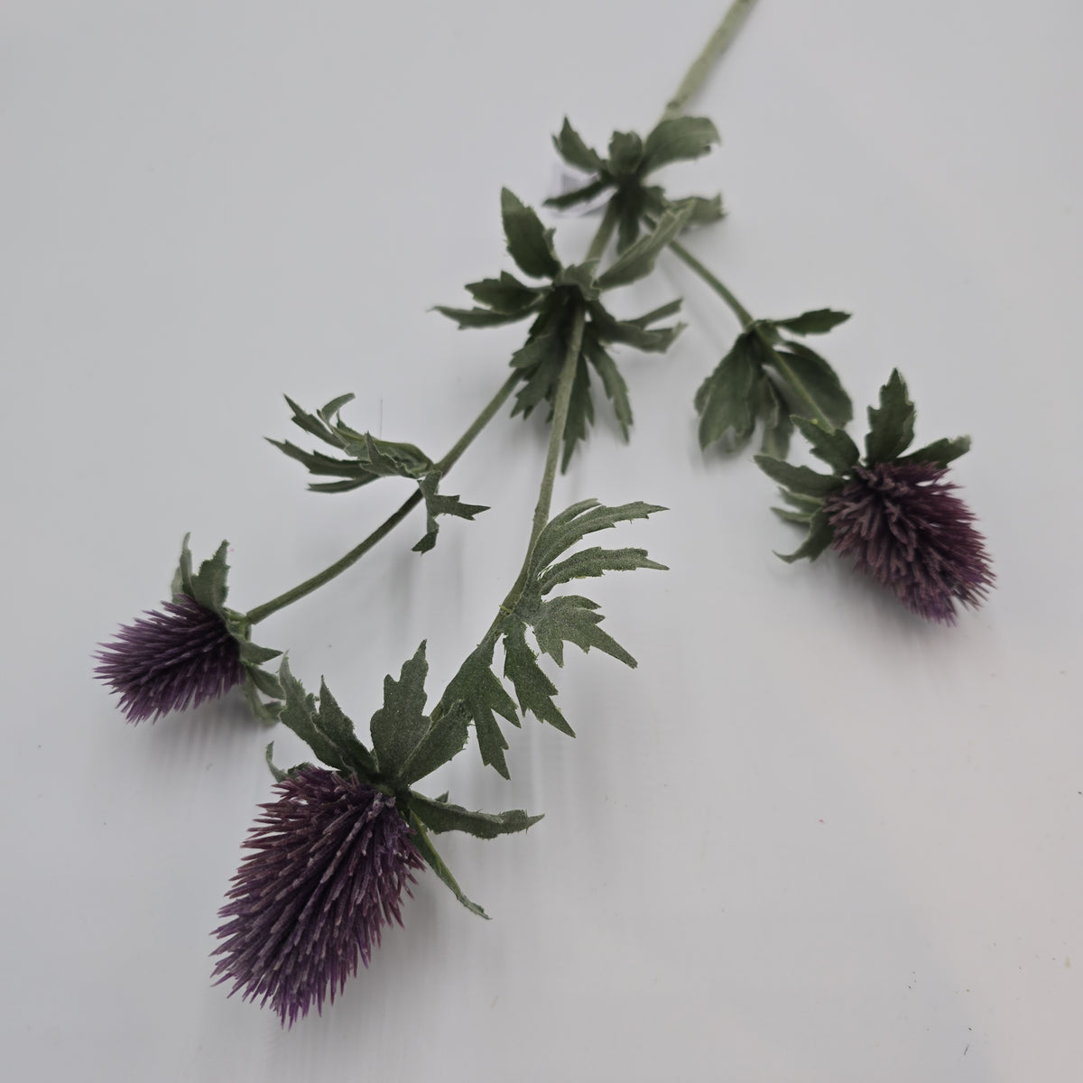 31&quot;THISTLE--fst420