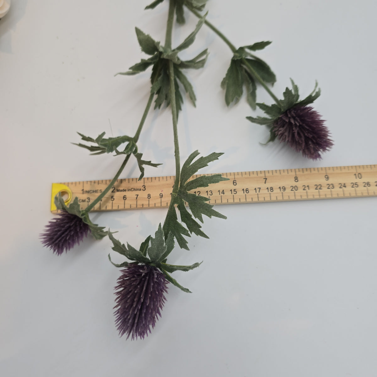 31&quot;THISTLE--fst420