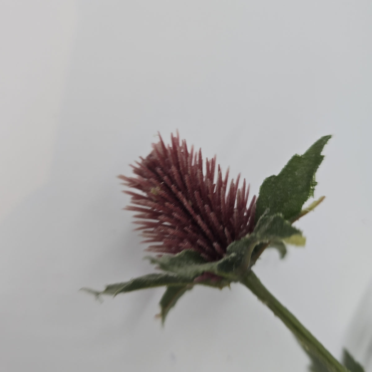 31&quot;THISTLE--fst420