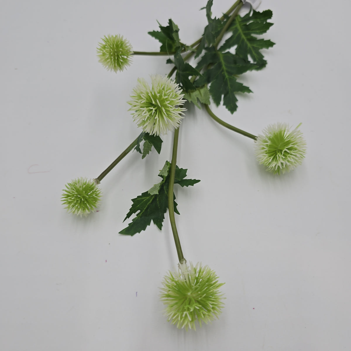 28.3&quot;GLOBE THISTLE--fst328