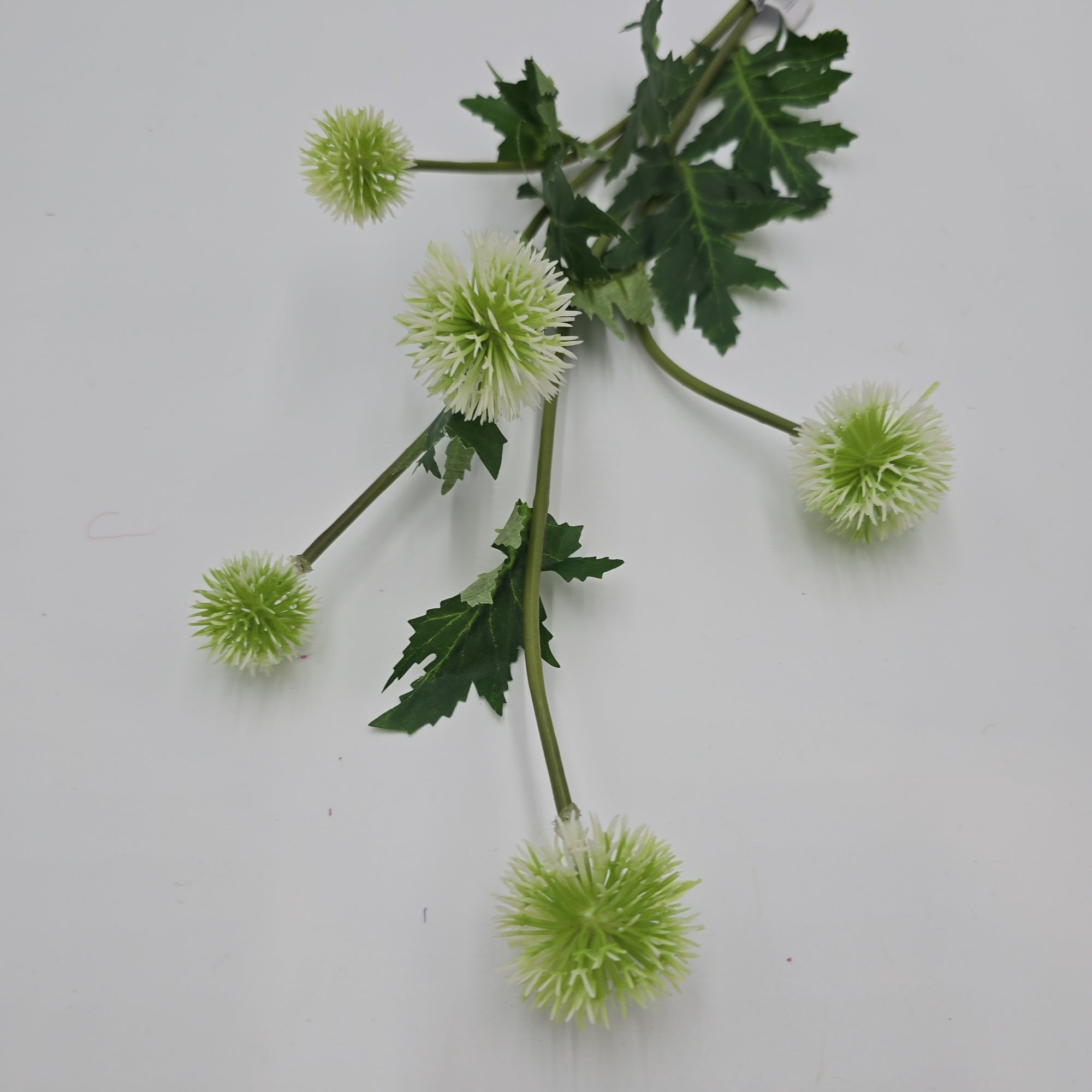 28.3"GLOBE THISTLE--fst328