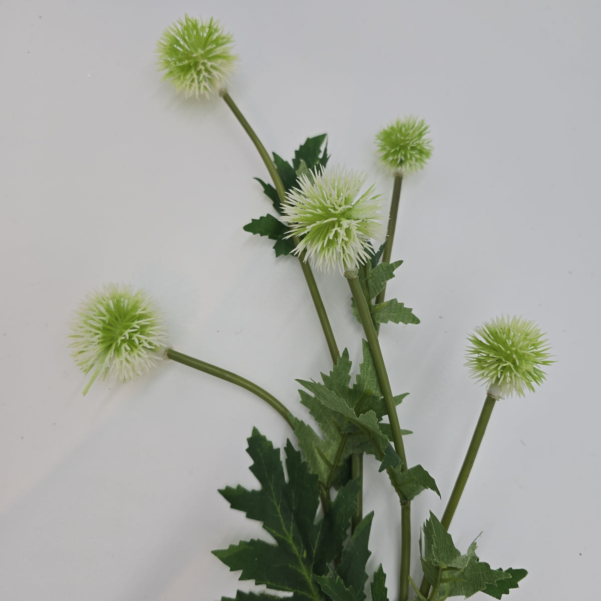 28.3&quot;GLOBE THISTLE--fst328