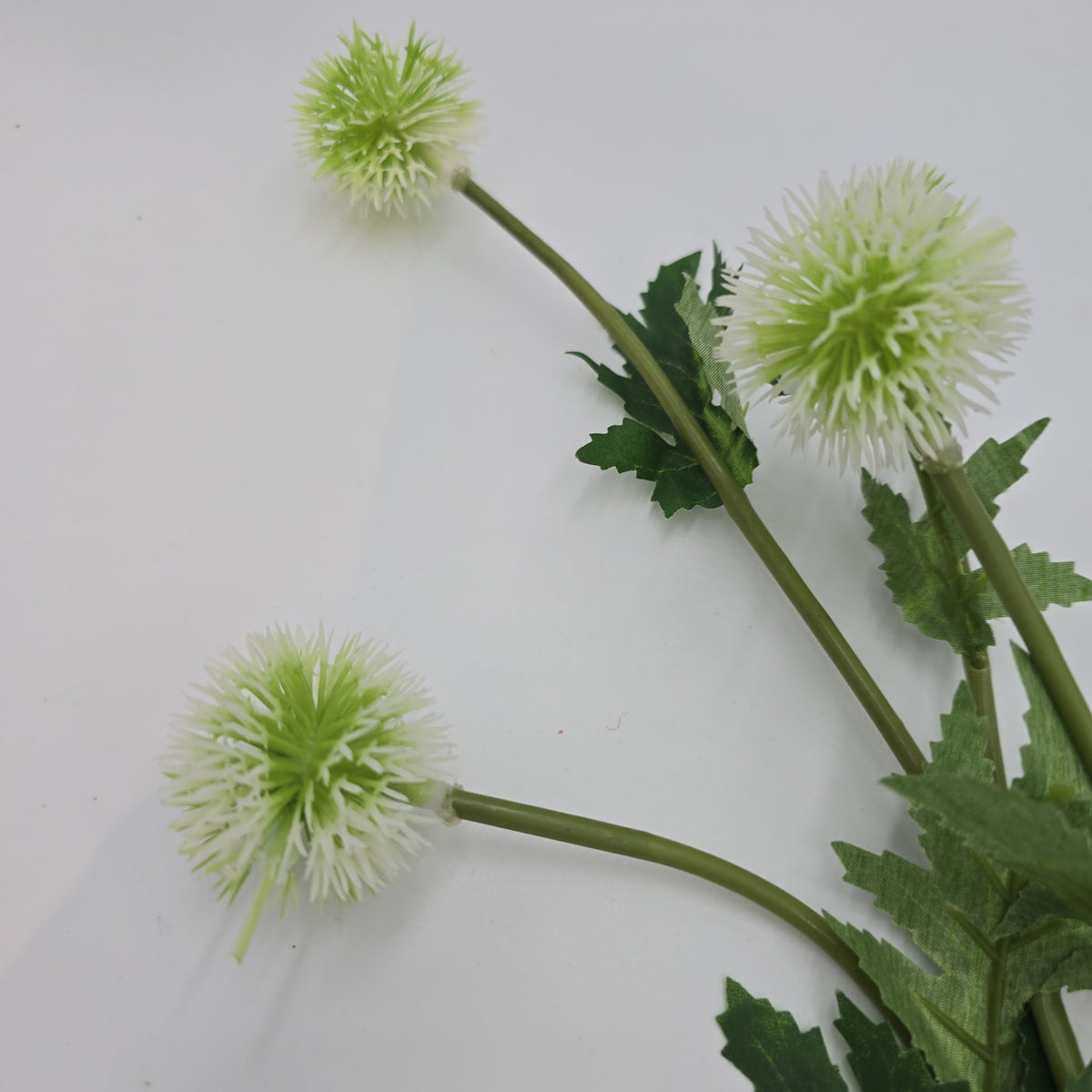 28.3&quot;GLOBE THISTLE--fst328