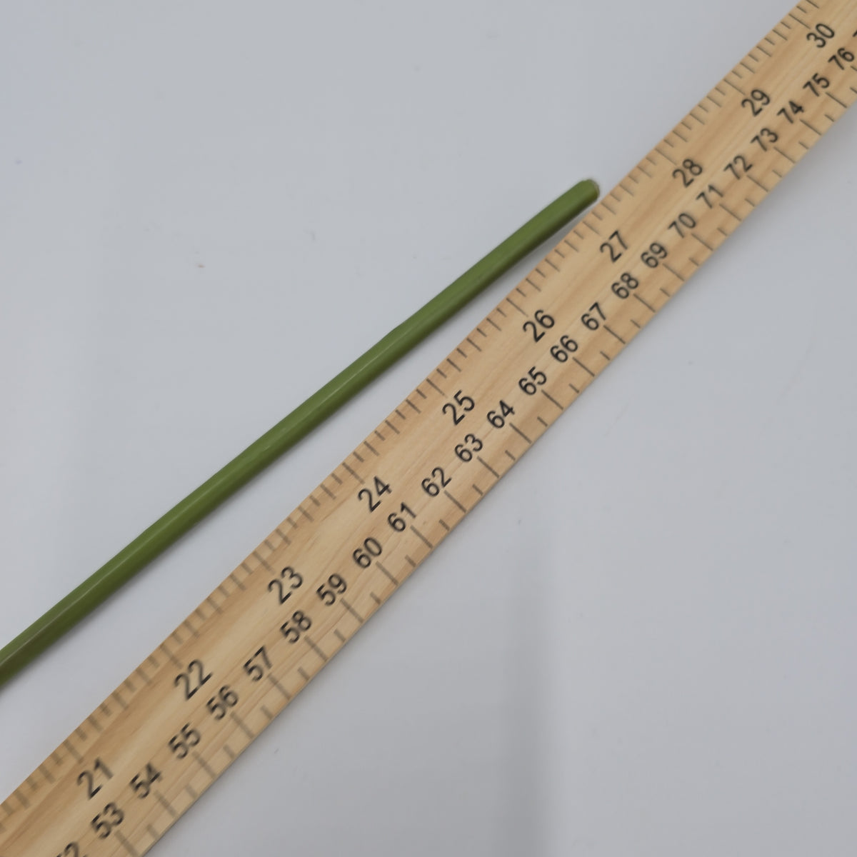 28.3&quot;GLOBE THISTLE--fst328