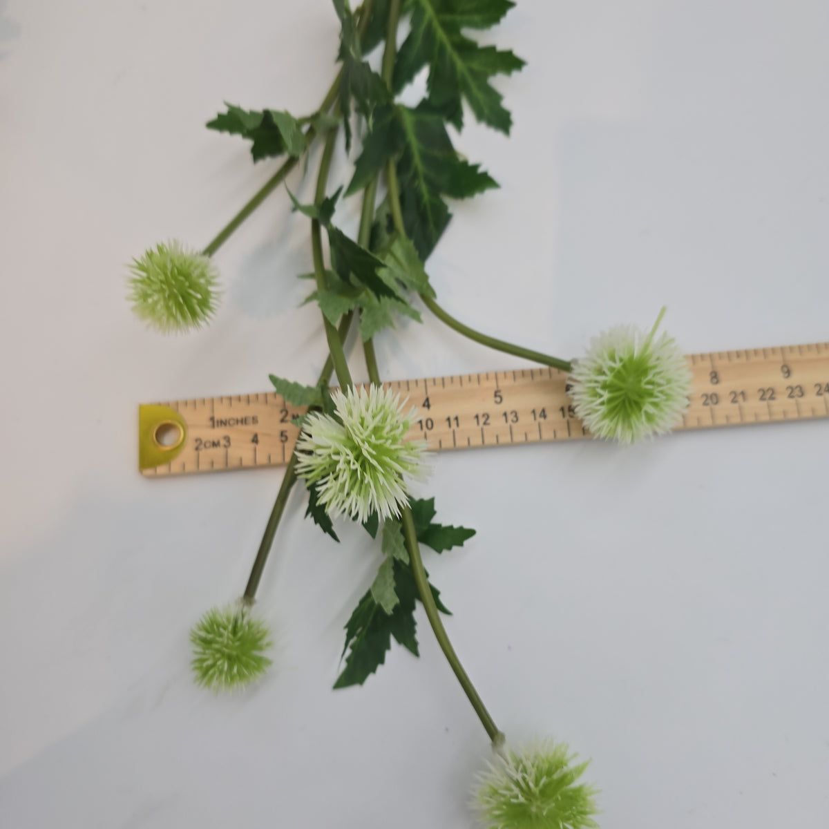 28.3&quot;GLOBE THISTLE--fst328