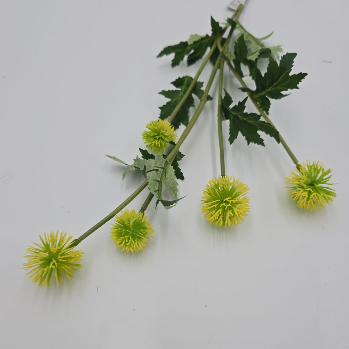 28.3&quot;GLOBE THISTLE--fst328