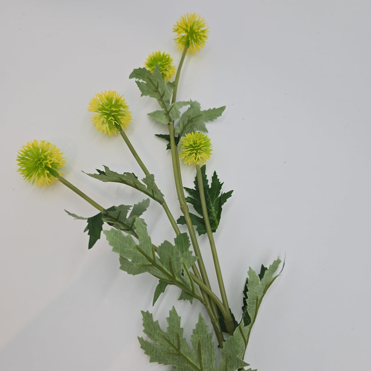 28.3&quot;GLOBE THISTLE--fst328