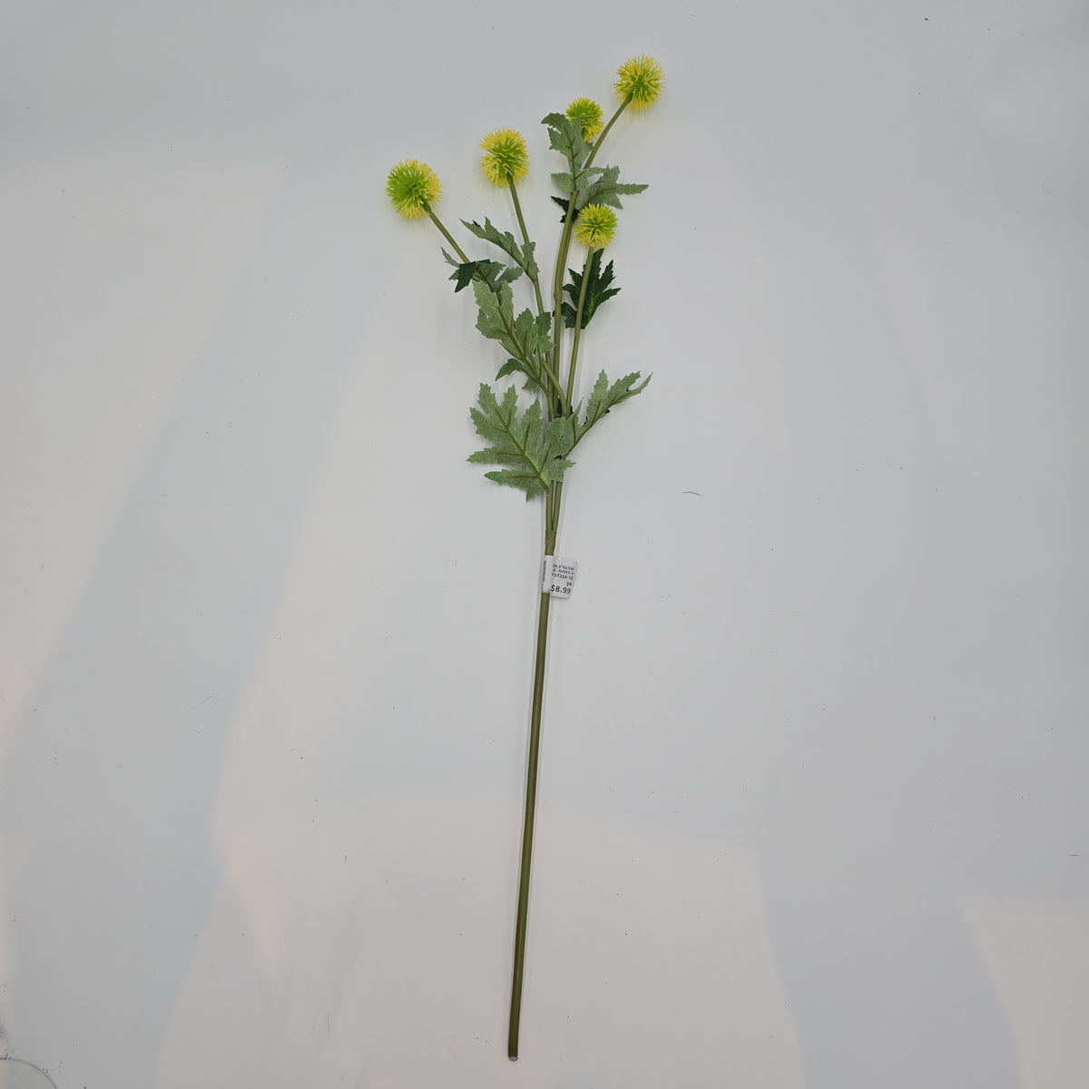 28.3&quot;GLOBE THISTLE--fst328