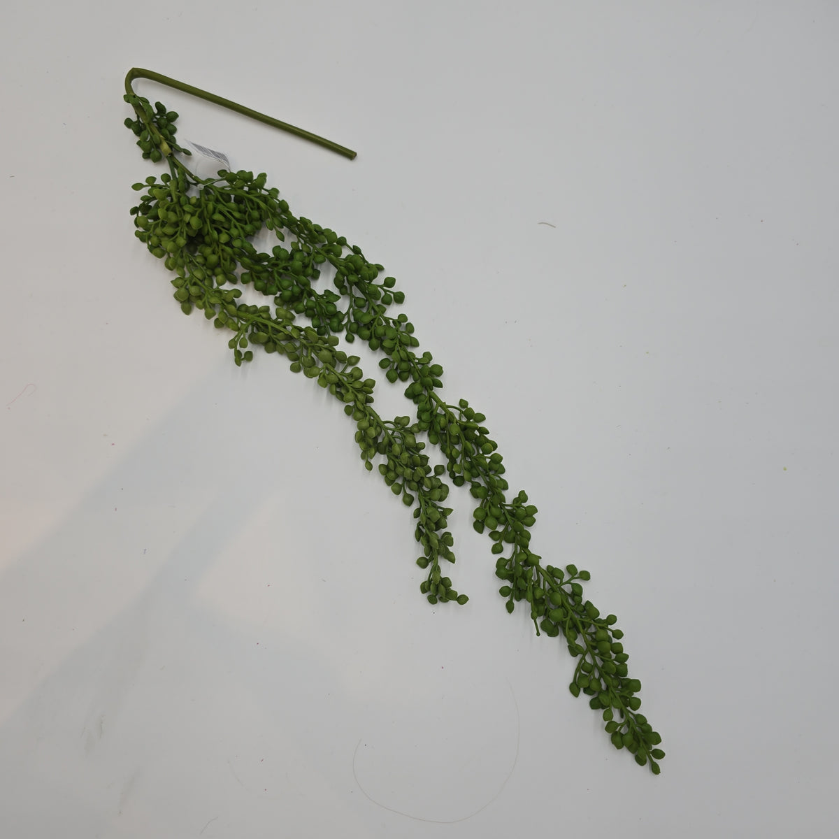 30&quot;Hg Succulent--#cs2092