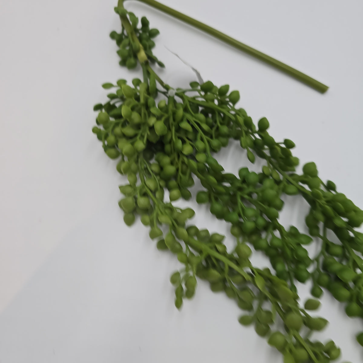 30&quot;Hg Succulent--#cs2092