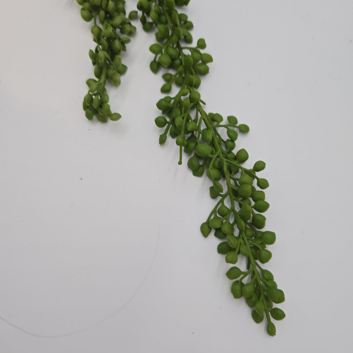 30&quot;Hg Succulent--#cs2092