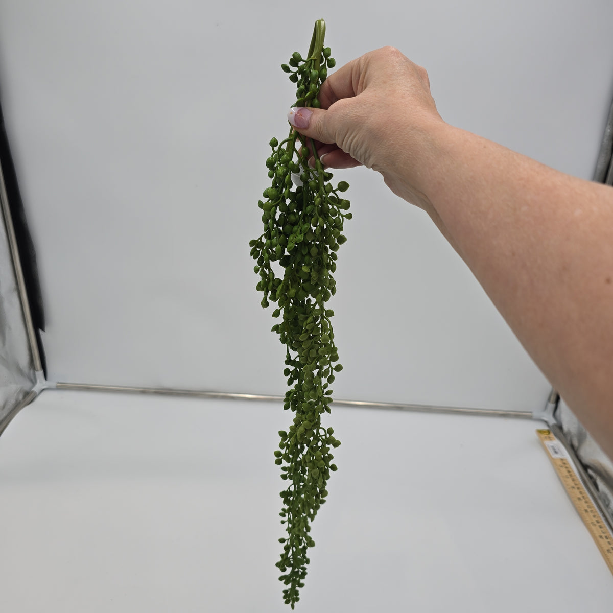 30&quot;Hg Succulent--#cs2092