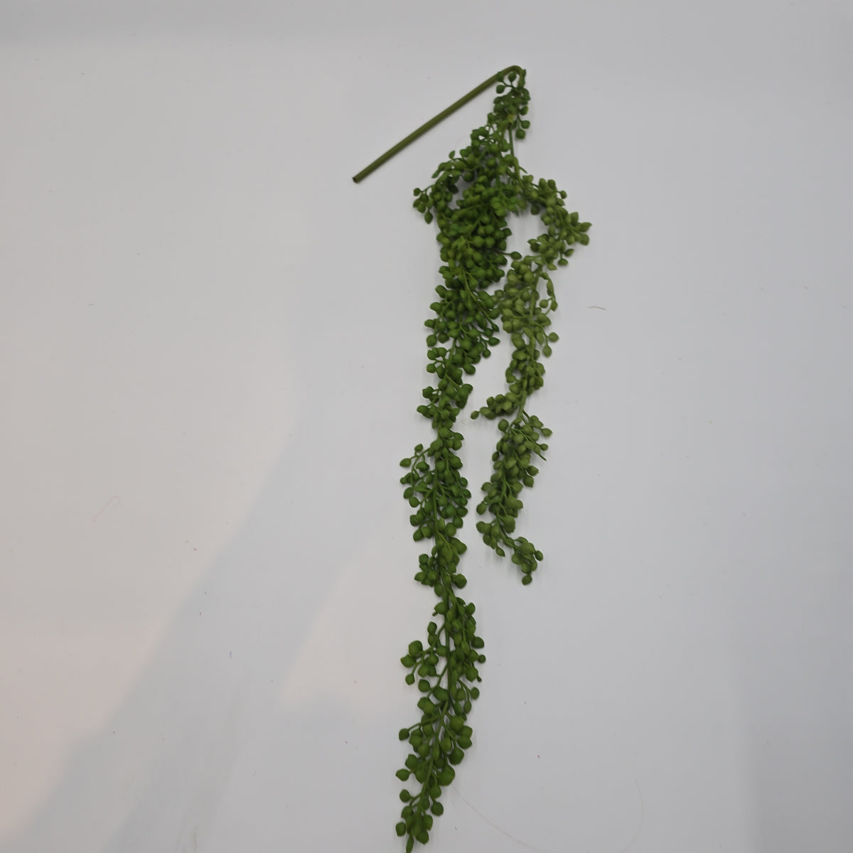 30&quot;Hg Succulent--#cs2092