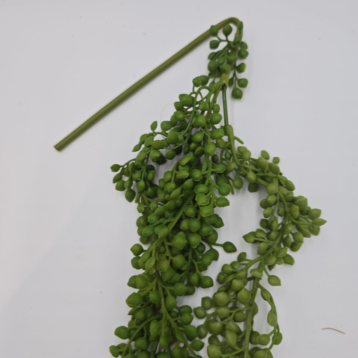 30&quot;Hg Succulent--#cs2092