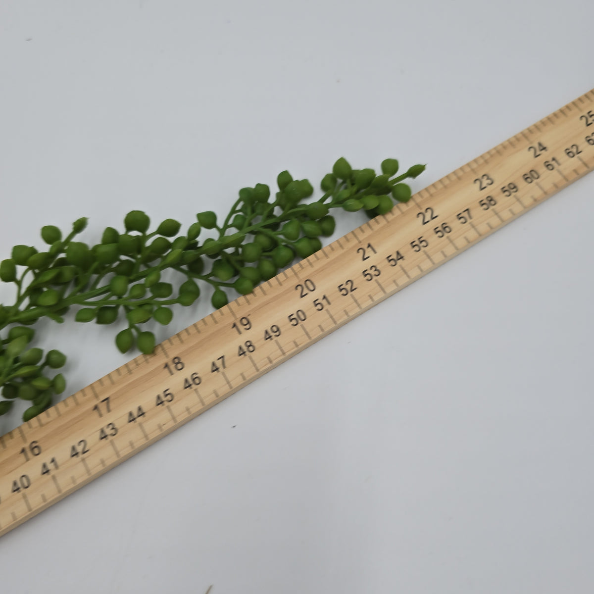 30&quot;Hg Succulent--#cs2092