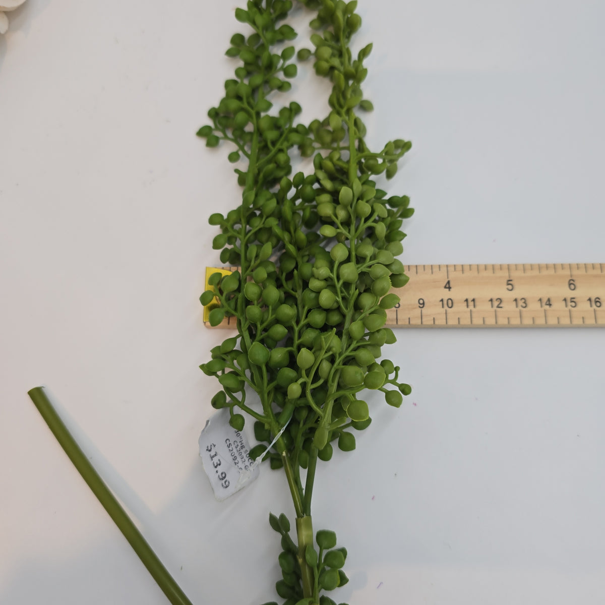 30&quot;Hg Succulent--#cs2092