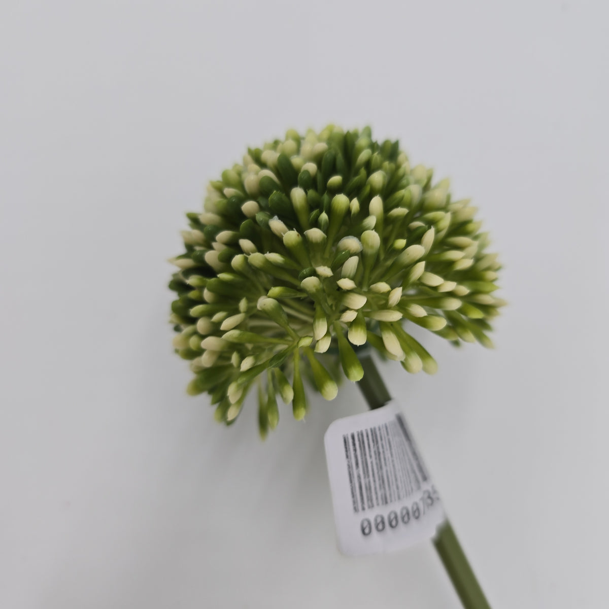 17.5&quot;ALLIUM--fsa141-cr/gr