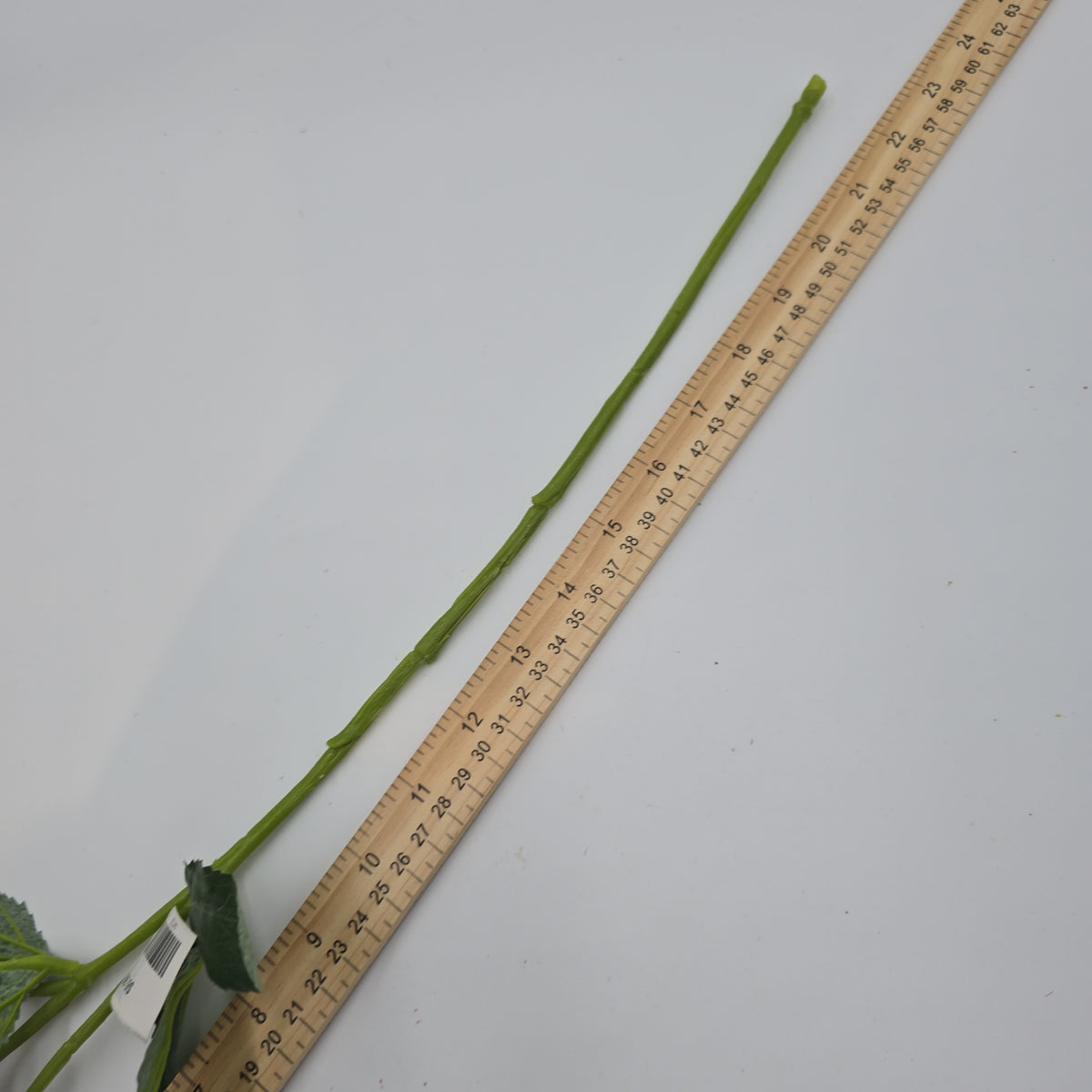 22&quot;HELLEBORUS--fsh321