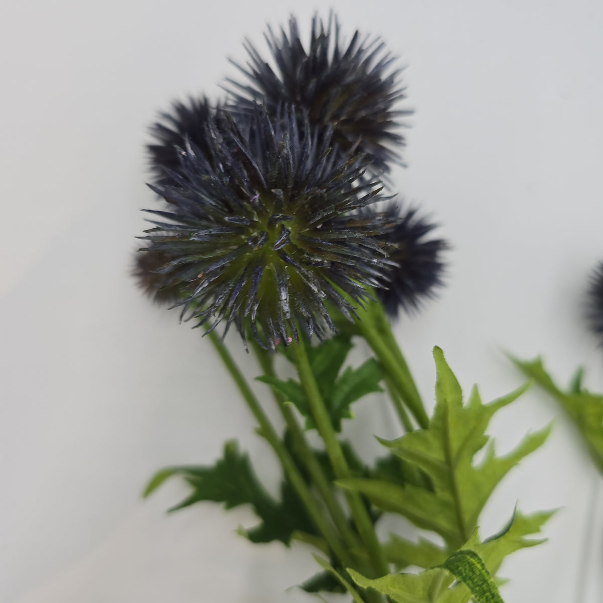 28&quot;GLOBE THISTLE--fst602