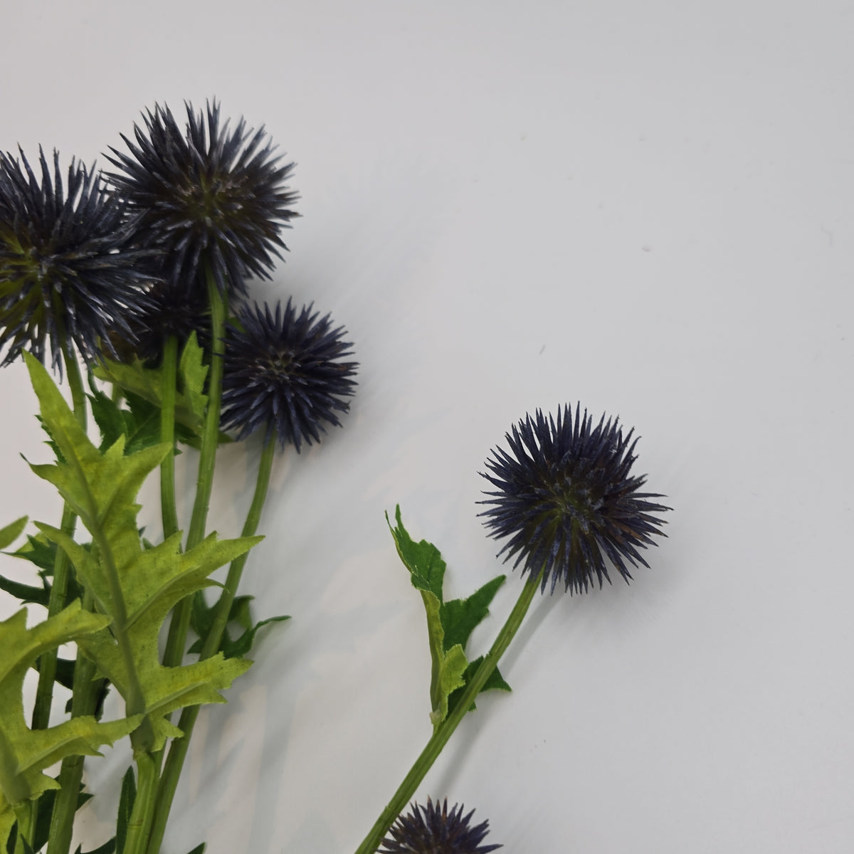 28&quot;GLOBE THISTLE--fst602