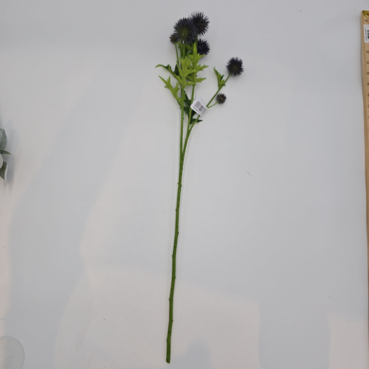 28&quot;GLOBE THISTLE--fst602