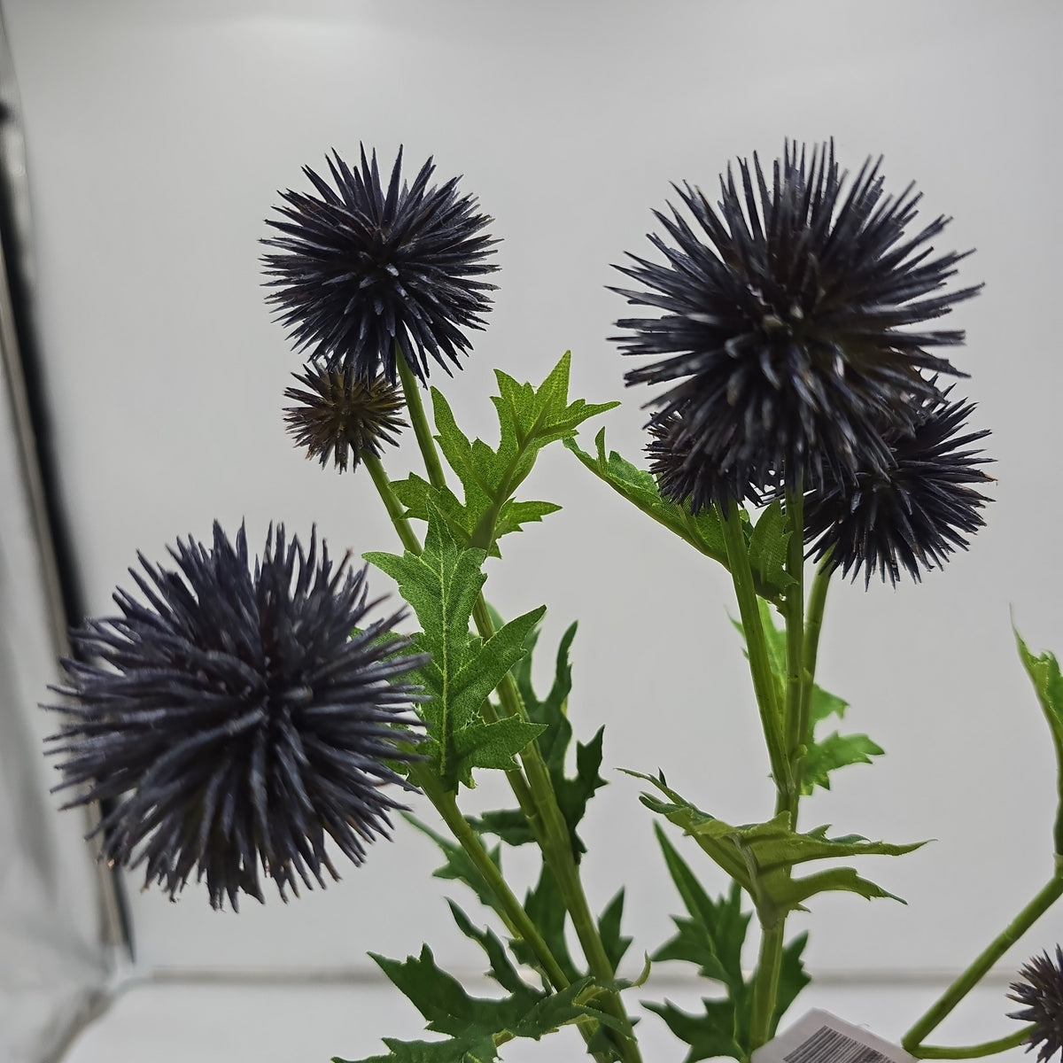 28&quot;GLOBE THISTLE--fst602