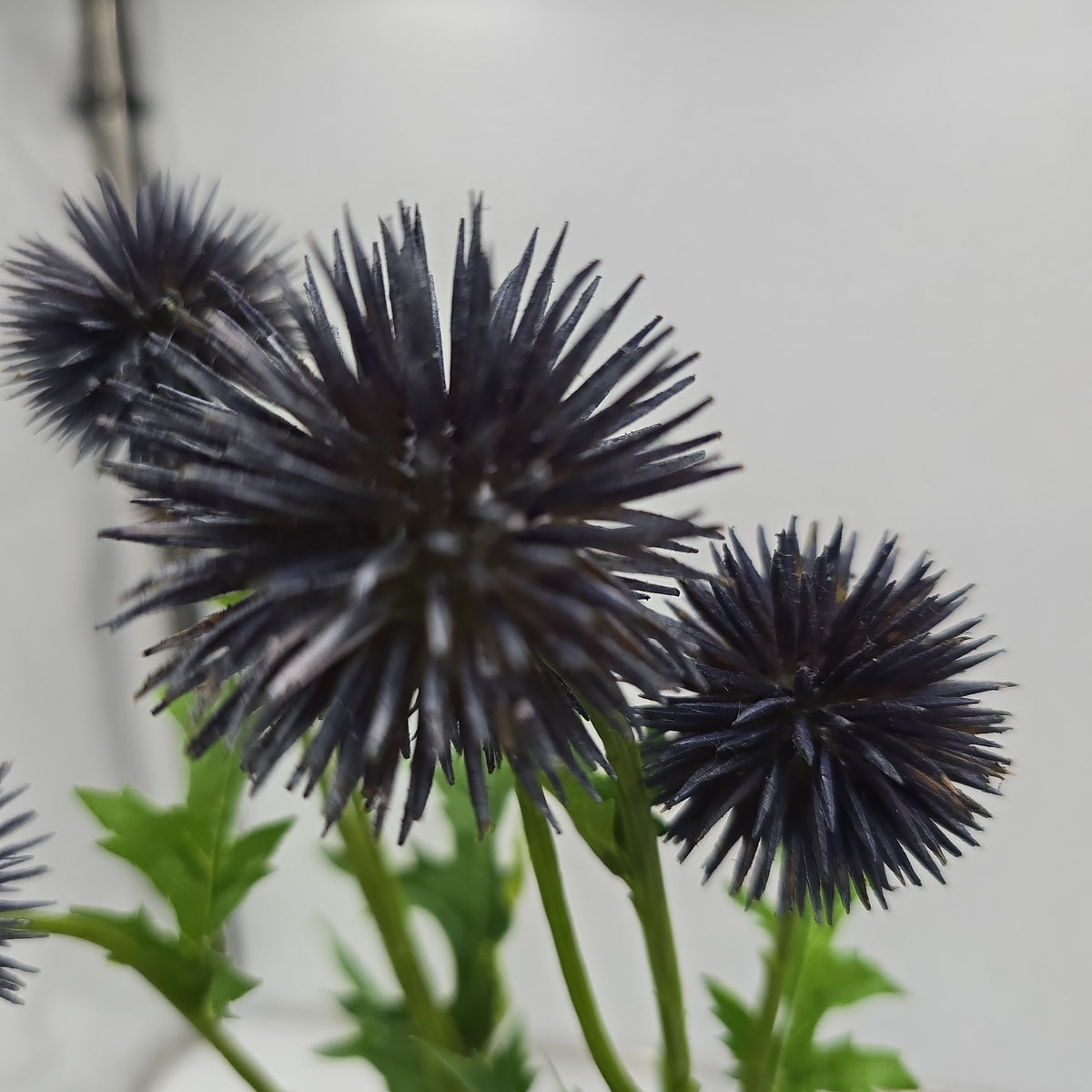 28&quot;GLOBE THISTLE--fst602