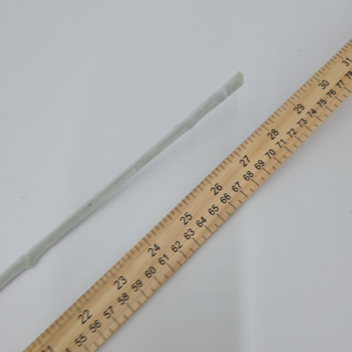 28&quot;LAMB&#39;S EAR--qsl005-gr