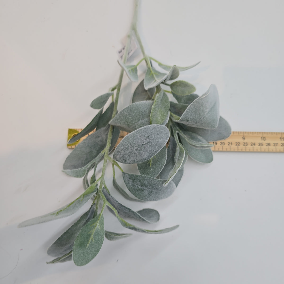 28&quot;LAMB&#39;S EAR--qsl005-gr