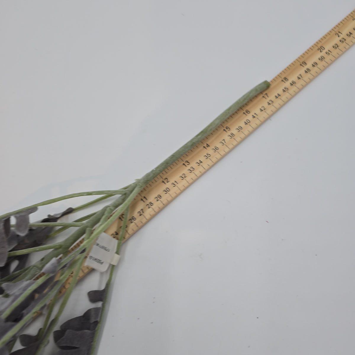 17&quot; Dusty Miller Bush--#psd341-gr/pu