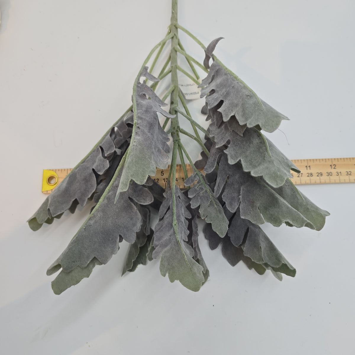 17&quot; Dusty Miller Bush--#psd341-gr/pu