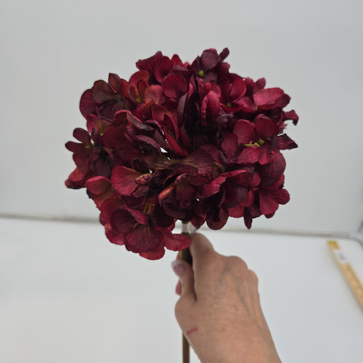 23&quot;HYDRANGEA-#fsh708